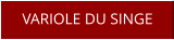 VARIOLE DU SINGE
